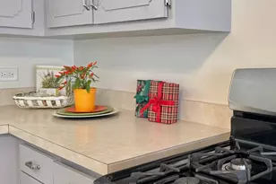 3051 S Scott St, Des Plaines, IL 60018 - Photo 10