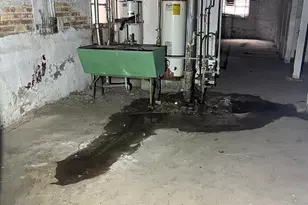 2309 N Springfield Ave, Chicago, IL 60647 - Photo 22