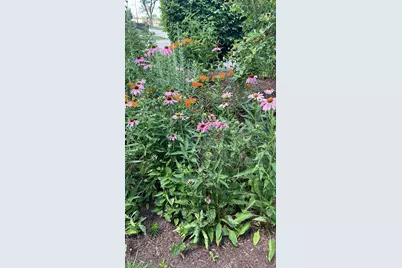 409 Wedgewood Lane, Belvidere, IL 61008 - Photo 28