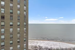 1000 N Lake Shore Dr, Chicago, IL 60611 - Photo 18
