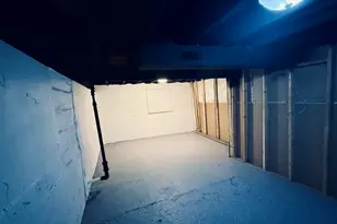 11725 S Morgan St, Chicago, IL 60643 - Photo 38