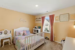 9028 Disbrow St, Huntley, IL 60142 - Photo 14