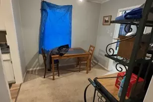 229 S Edison Ave, Elgin, IL 60123 - Photo 12