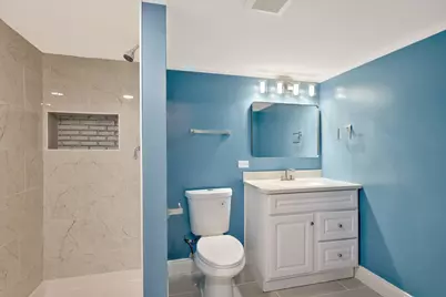 6158 White Birch Lane, Matteson, IL 60443 - Photo 28