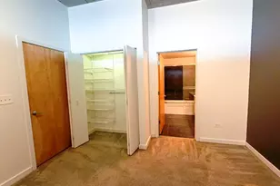 1720 S Michigan Ave, Chicago, IL 60616 - Photo 14