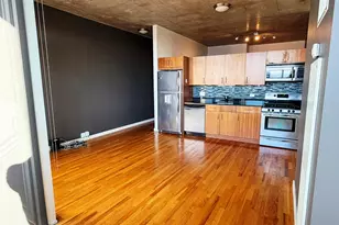 1720 S Michigan Ave, Chicago, IL 60616 - Photo 8