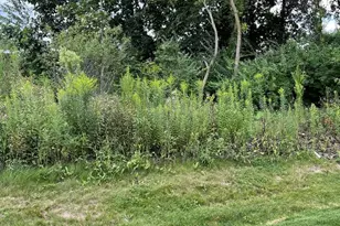 1173 Sonoma Ct, Pingree Grove, IL 60140 - Photo 26