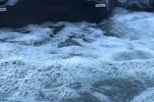 8208 W Park Ave, Niles, IL 60714 - Photo 16