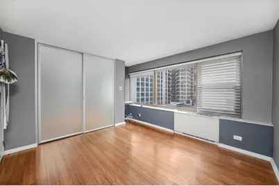 247 E Chestnut Street #502, Chicago, IL 60611 - Photo 8