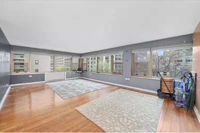 247 E Chestnut Street #502, Chicago, IL 60611 - Photo 2