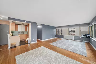 247 E Chestnut Street #502, Chicago, IL 60611 - Photo 4