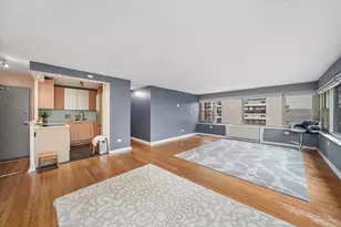 247 E Chestnut St, Chicago, IL 60611 - Photo 4