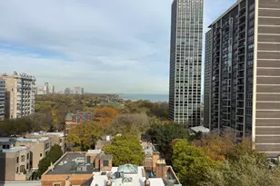 [Address not provided], Chicago, IL 60610 - Photo 24