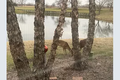 21521 W Juniper Court, Plainfield, IL 60544 - Photo 38