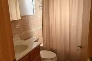 8447 Drake Ave, Skokie, IL 60076 - Photo 14