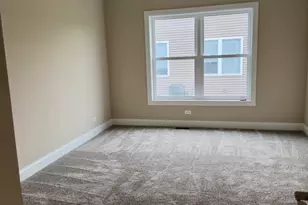 26465 Jace Ct, Channahon, IL 60410 - Photo 10
