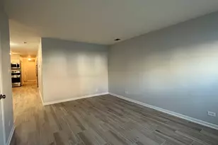 449 W 37th St, Chicago, IL 60609 - Photo 4