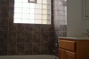 10810 N Hamlin Ave, Chicago, IL 60624 - Photo 12