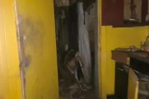 7629 S Maryland Ave, Chicago, IL 60619 - Photo 4