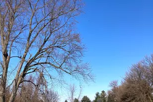 440 E Railroad Ave, Leland, IL 60531 - Photo 4