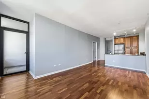 1255 S State St, Chicago, IL 60605 - Photo 4