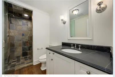 1520 N Dearborn Parkway, Chicago, IL 60610 - Photo 46