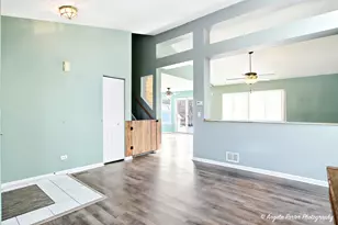 28501 Wagon Trail Ct, Lakemoor, IL 60051 - Photo 4