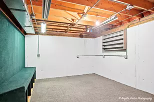 28501 Wagon Trail Ct, Lakemoor, IL 60051 - Photo 24