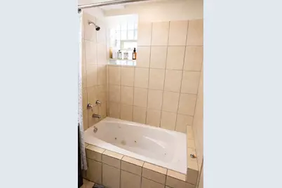 225 E 59th Street #1, Chicago, IL 60637 - Photo 10