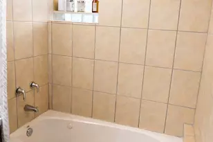 225 E 59th St, Chicago, IL 60637 - Photo 10