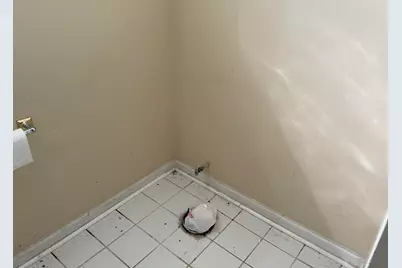 8114 S Anthony Avenue, Chicago, IL 60617 - Photo 20