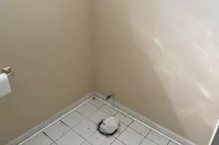 8114 S Anthony Ave, Chicago, IL 60617 - Photo 20