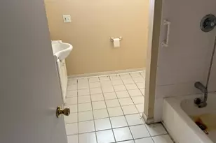 8114 S Anthony Ave, Chicago, IL 60617 - Photo 18