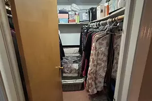 11116 S Longwood Dr, Chicago, IL 60643 - Photo 10