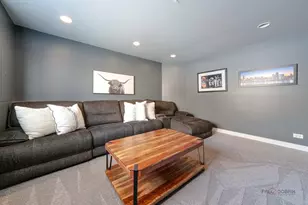 748 June Terrace, Lake Zurich, IL 60047 - Photo 22