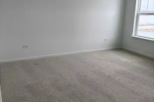 450 Hathaway Ln, Oswego, IL 60543 - Photo 10