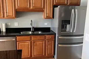 1250 S Indiana Ave, Chicago, IL 60605 - Photo 4