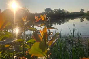 1340 E 2700 North Rd, Ashkum, IL 60911 - Photo 76