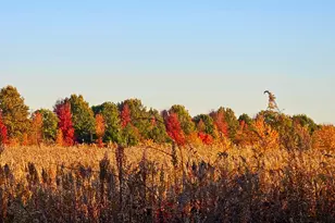 1340 E 2700 North Rd, Ashkum, IL 60911 - Photo 78