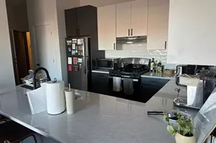 3204 N Clifton Ave, Chicago, IL 60657 - Photo 8