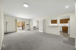 602 E Algonquin Rd, Arlington Heights, IL 60005 - Photo 10