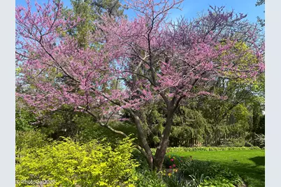 [Address not provided], Glencoe, IL 60022 - Photo 56