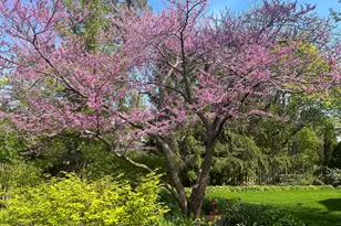 165 Lapier St, Glencoe, IL 60022 - Photo 56