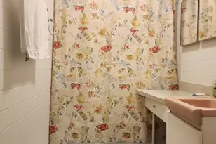 4605 W 84th Pl, Chicago, IL 60652 - Photo 18