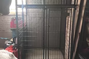 2417 W Bryn Mawr Ave, Chicago, IL 60659 - Photo 12