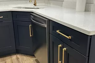 1021 W Vermont Ave, Chicago, IL 60827 - Photo 10