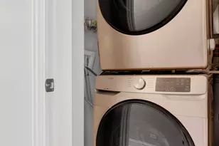 6607 S Ingleside Ave, Chicago, IL 60637 - Photo 28