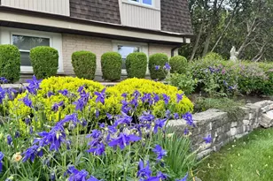 416 Trinity Ct, Buffalo Grove, IL 60089 - Photo 18