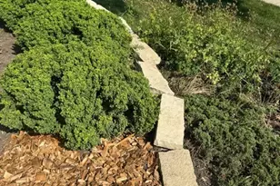 416 Trinity Ct, Buffalo Grove, IL 60089 - Photo 36