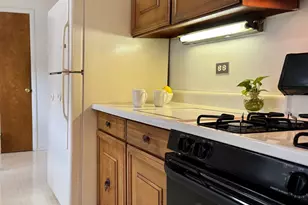 416 Trinity Ct, Buffalo Grove, IL 60089 - Photo 54